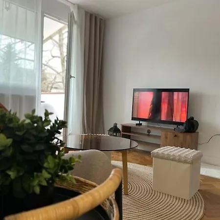 Central Apartment * Timisoara